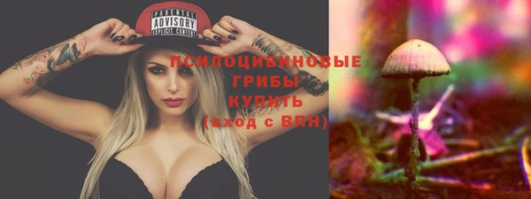 крисы Зерноград
