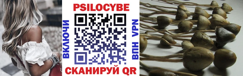 Купить где  Звенигород  Галлюциногенные грибы Cubensis 